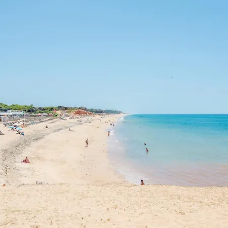 T1 * Картейра